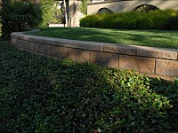 Retaining Wall Lawn