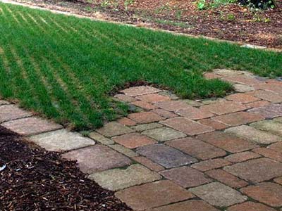 Turfstone Turfstone